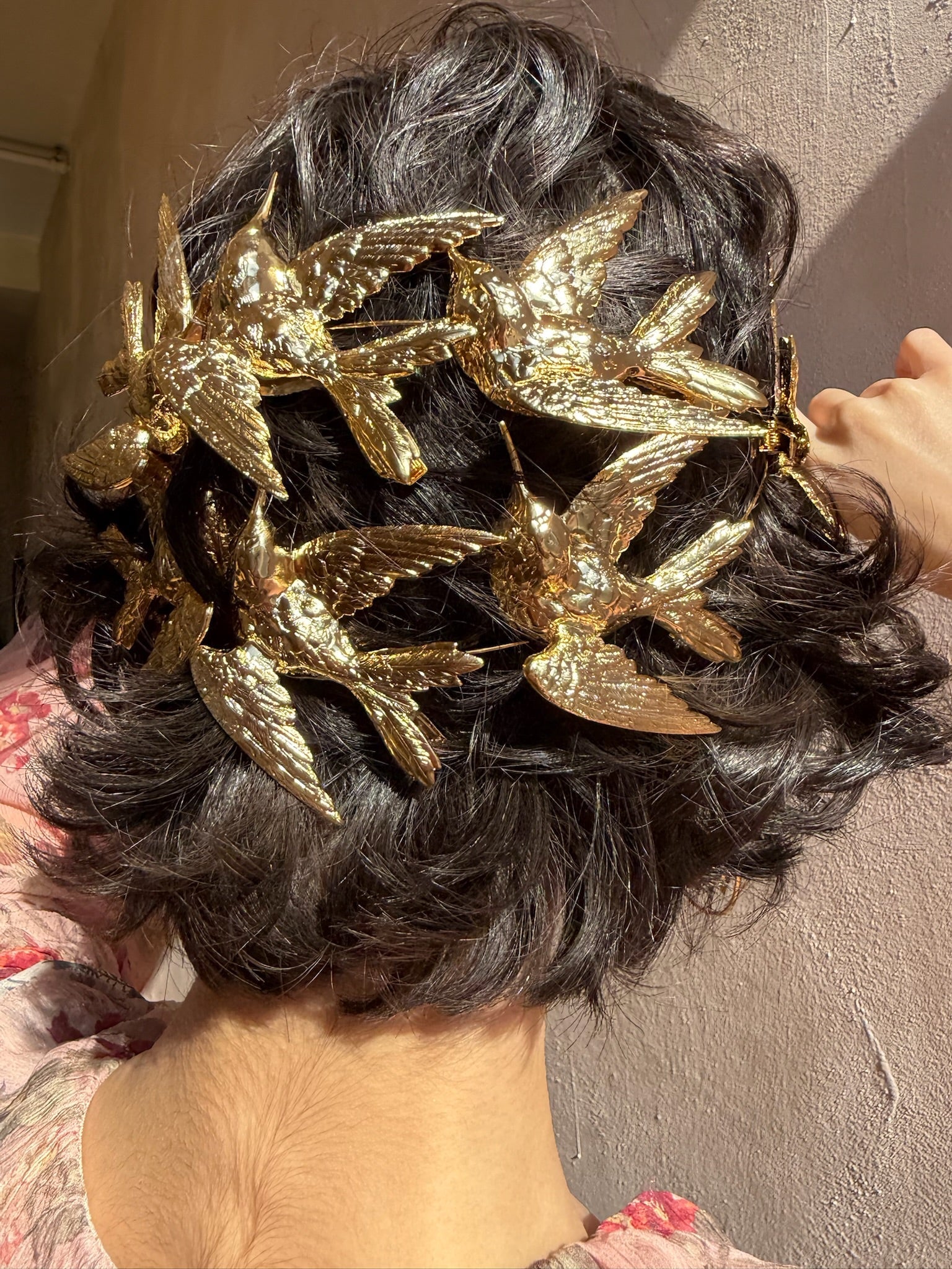 COLIBRI CLIP SET Epona Valley