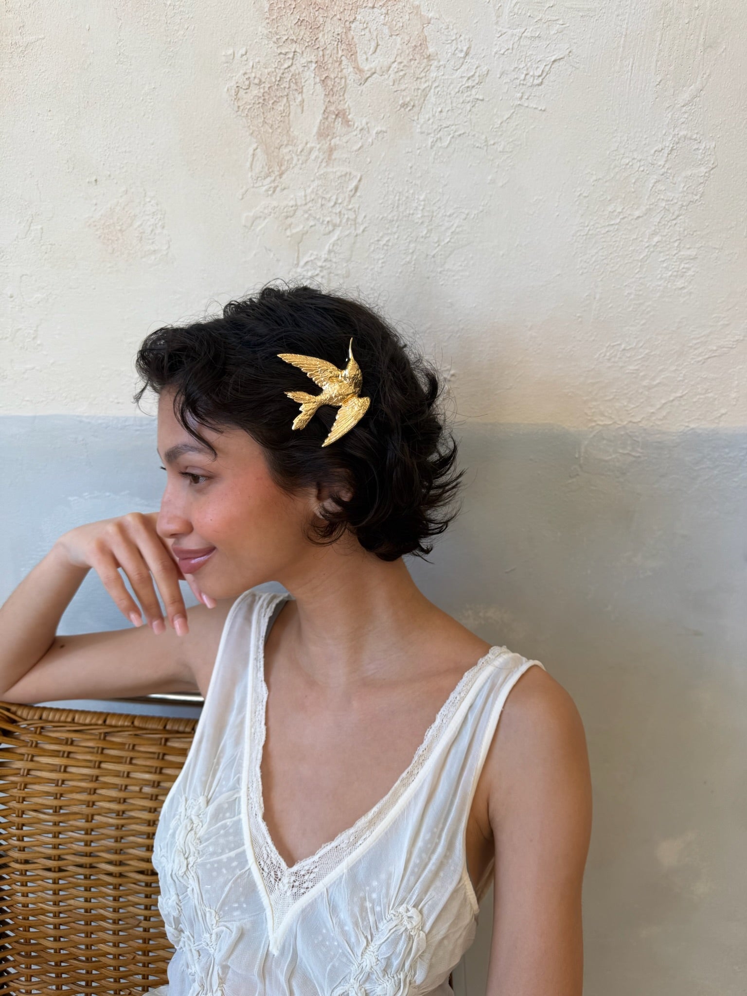 COLIBRI CLIP SET Epona Valley