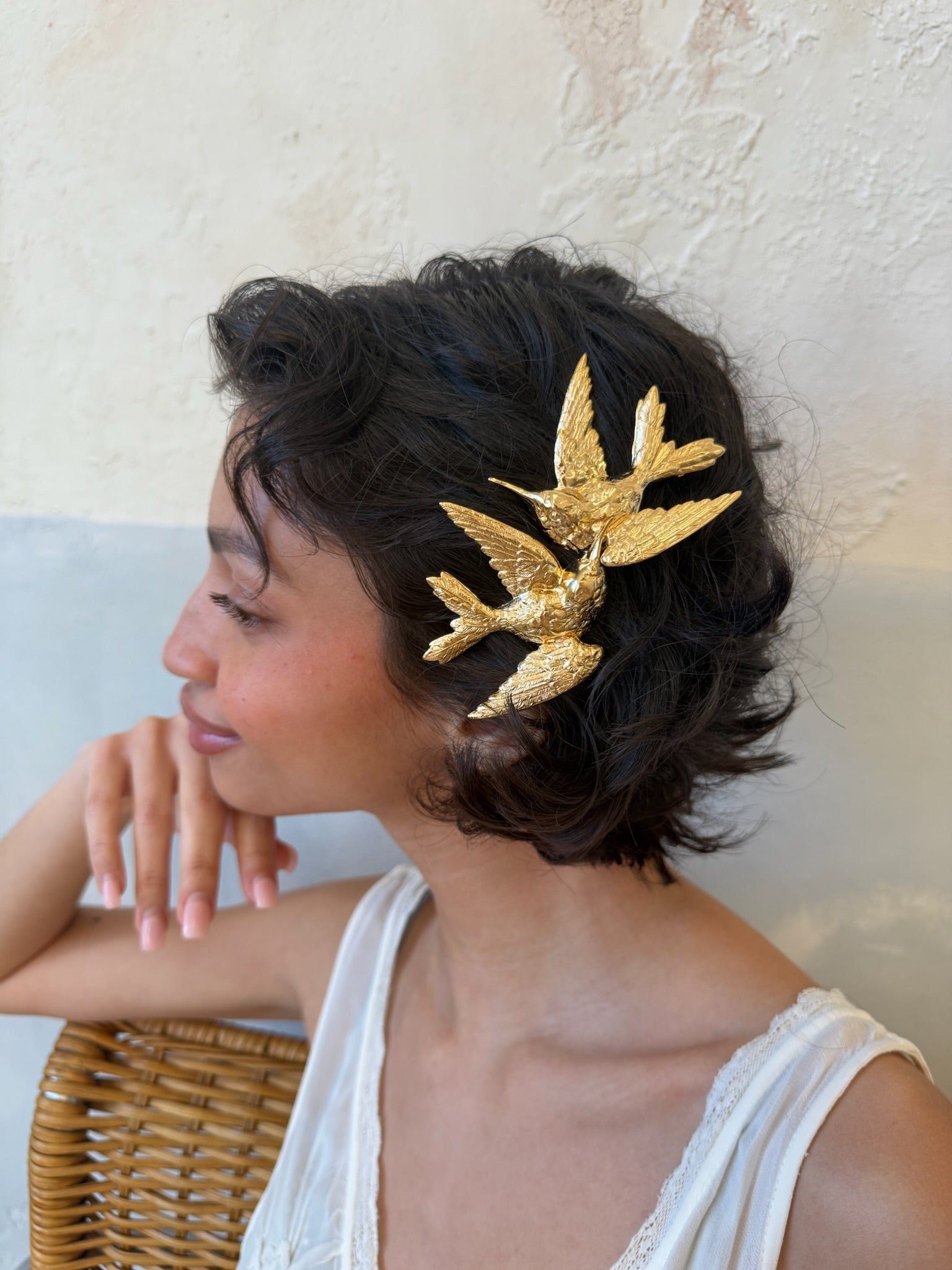 COLIBRI CLIP SET Epona Valley